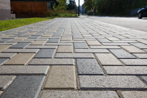 Best Custom Driveway Pavers  in Meadow Oaks, FL